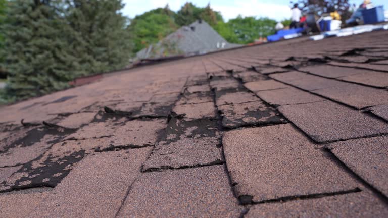 Best Roof Moss and Algae Removal  in Kemah, TX