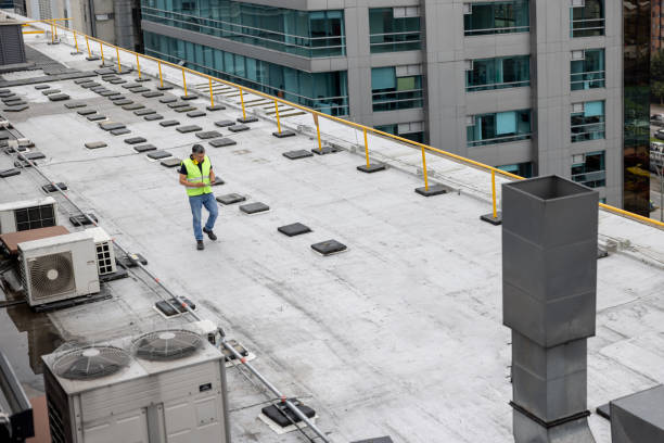 Best Solar Panel Roofing Installation  in Kemah, TX